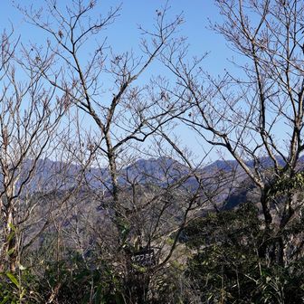 気付かなかったけど
展望スポットあったみたい🥲