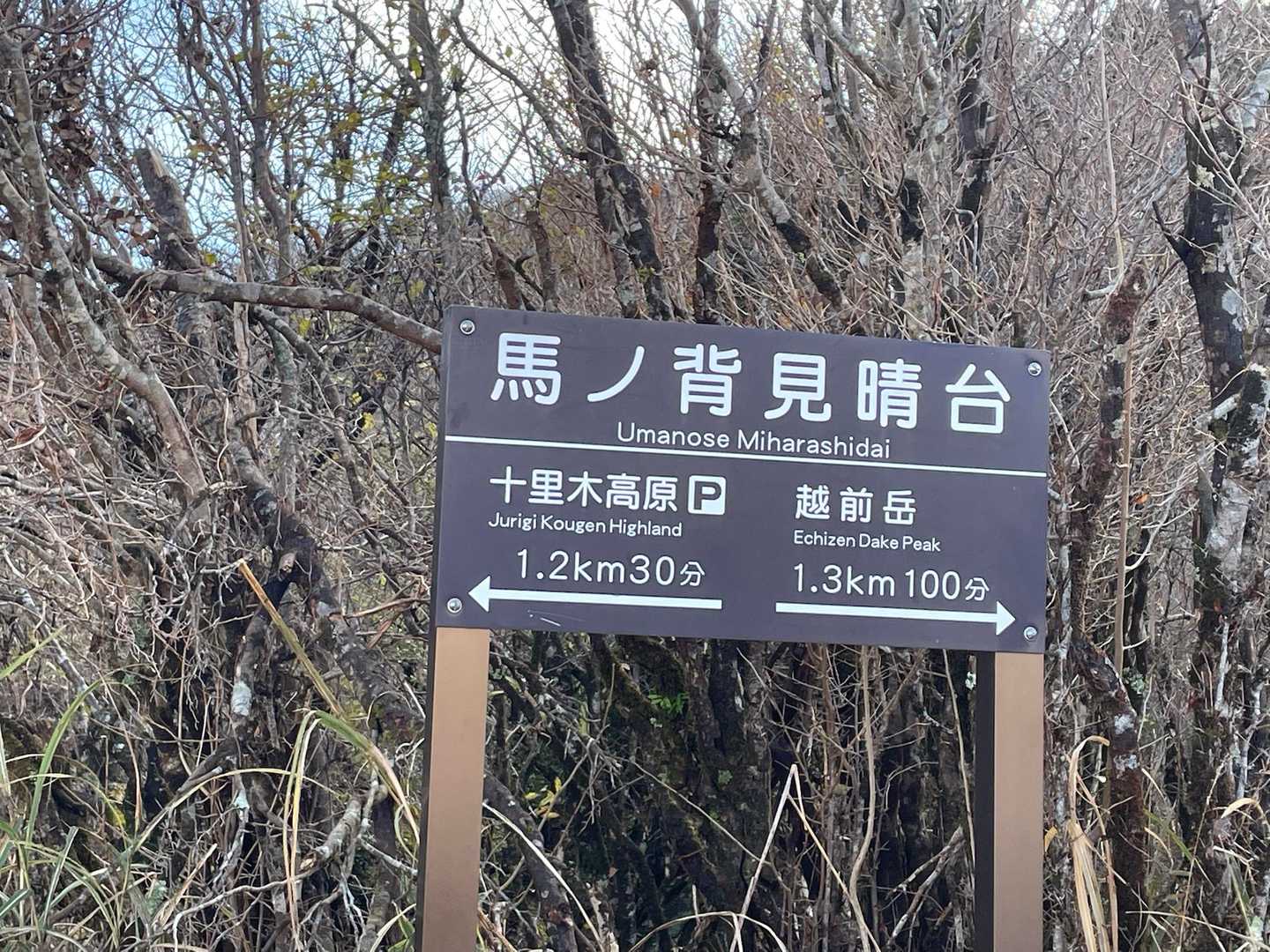 十里木高原バス停-越前岳-呼子岳 往復コースの写真