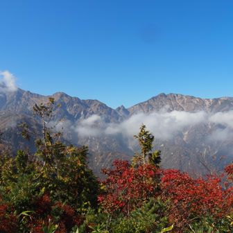 あとはアルプスと紅葉を眺めながらのお散歩です
でも１時間くらいかかります
