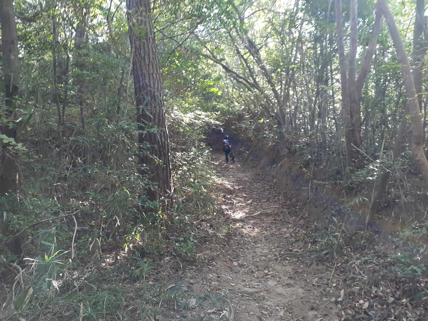 自転車？マウンテンバイクがすごい勢いで降りてきてびっくりした～😰💦
また持って上がってたよ。
上にもう１人いた。
