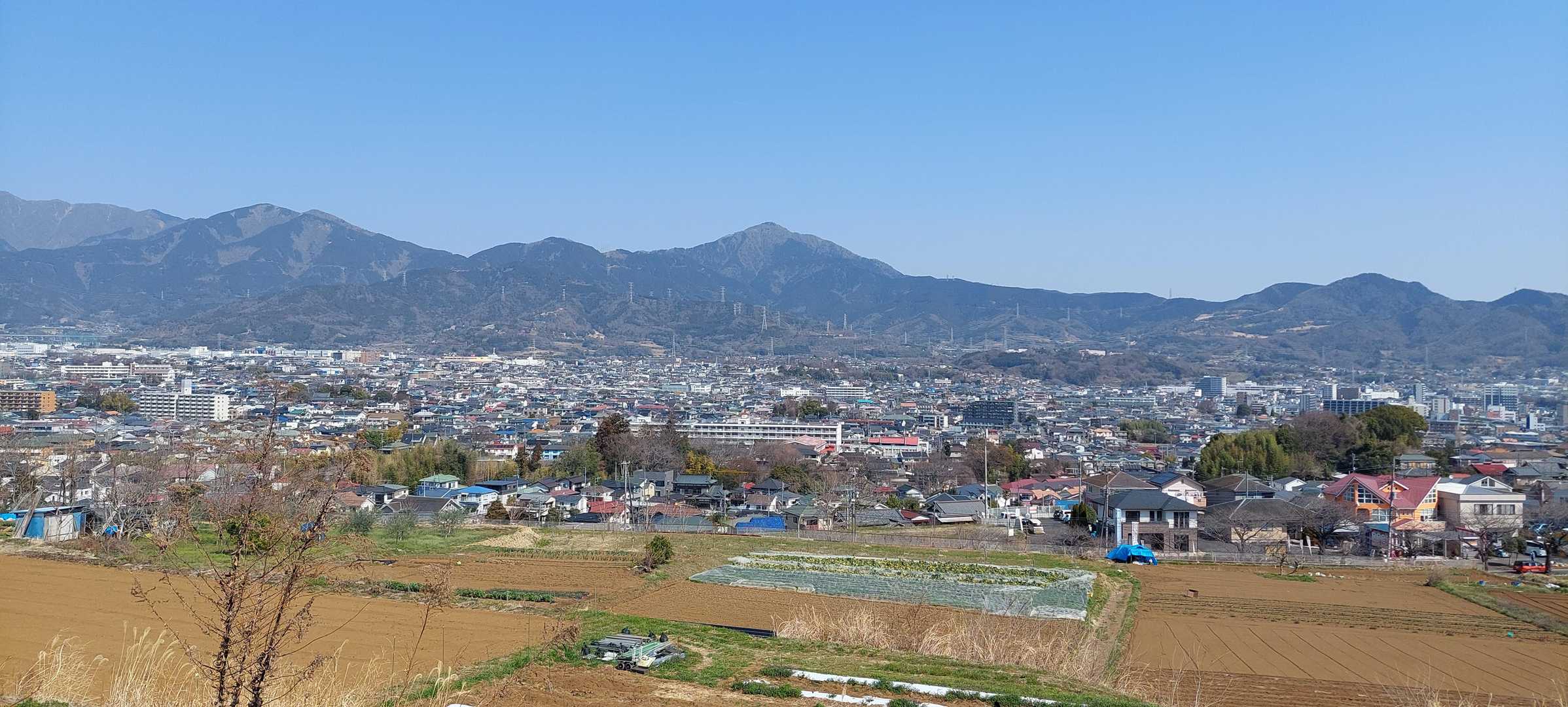 少し標高を上げると、さっそく丹沢の眺望が見えてきます。
大山が堂々としていてカッコ良いです(*^^*)