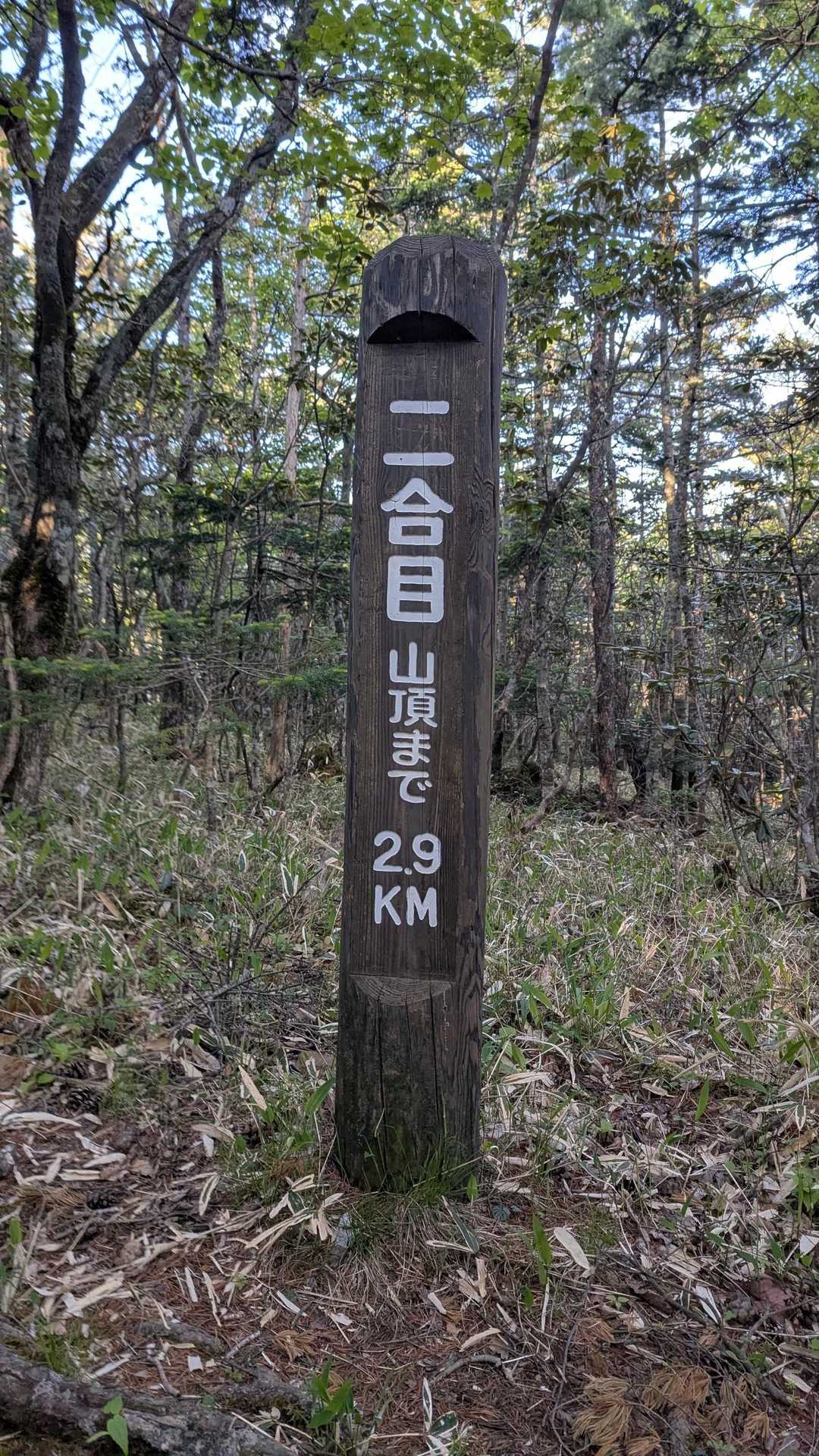 二合目