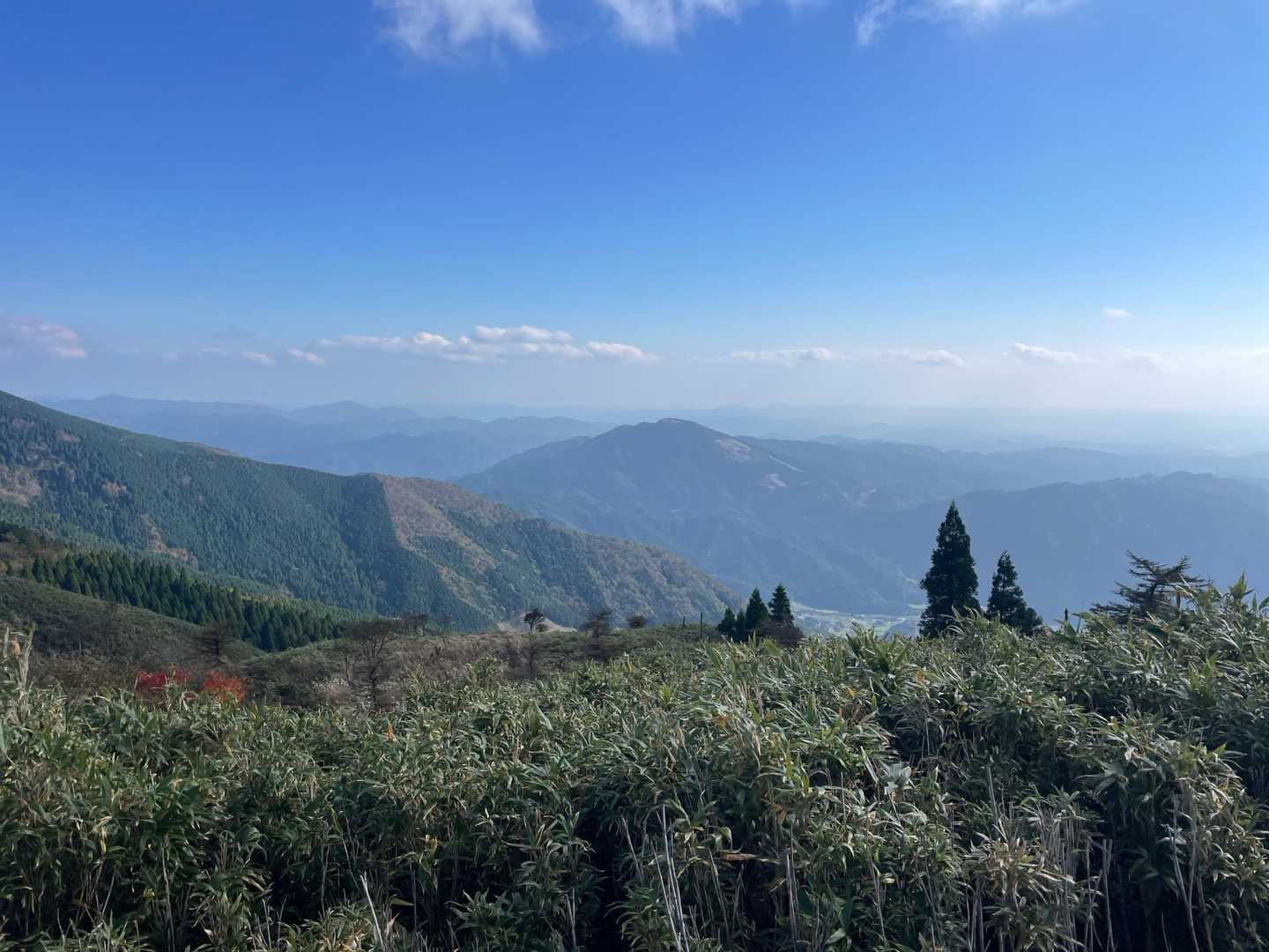 駒の尾山-鍋ヶ谷山-船木山-後山 往復コースの写真