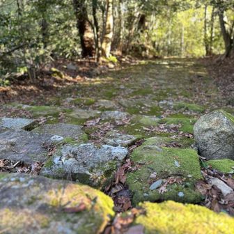 今年もよろしくお願いします🙇