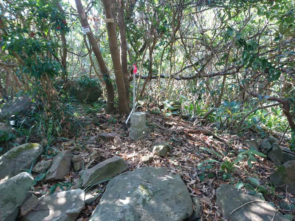 長者山の山頂🙌。

長者になりたい。