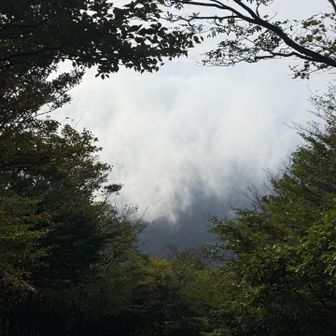 富士山は拝めず・・・💦