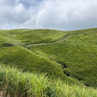 遊歩道が張りめぐらされていますいます。緑が美しい