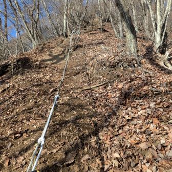 下から〜けっこう急登です😂