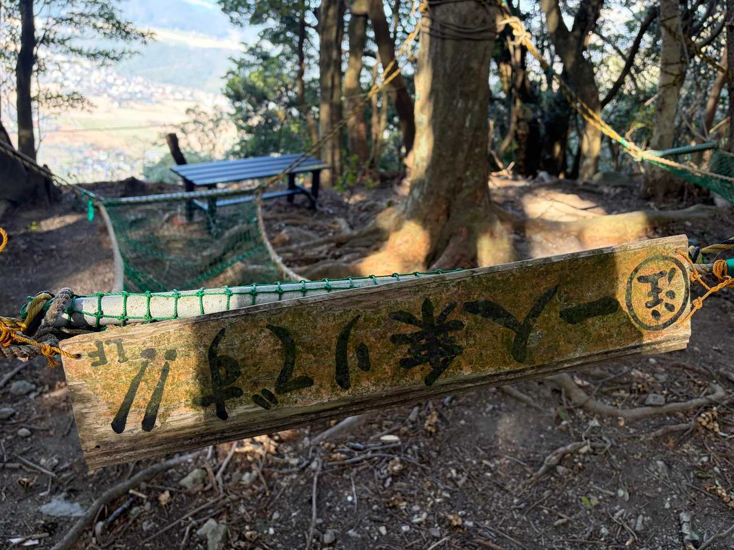 竜王山 往復コースの写真