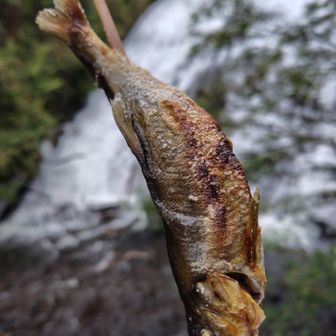 美味しくてよく焼けてて頭から尻尾まで完食🐟️