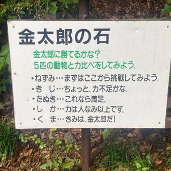 はい🦍直下です
力比べね