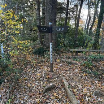 セブンサミッツ②榎窪山