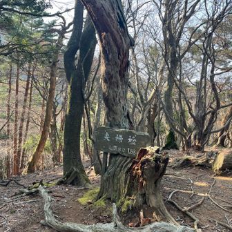 だいぶ年老いた夫婦のようです