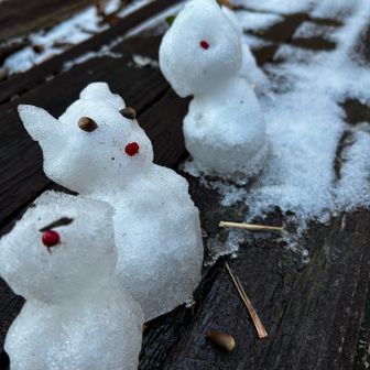 可愛いですね😍