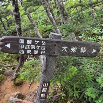 ランチが終わることには雲がずいぶんと増えていました。
雨も降るでしょうが、まずは国師ケ岳へ向かいます。
甲武信ヶ岳まで行けるのですね。これはいつかチャレンジしてみたいです。