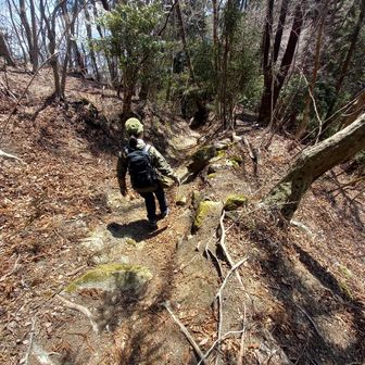 帰りは途中まで谷・都コース方面に下ります😅落ち葉🍂でふかふかでした。