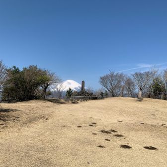 足柄城址に到着