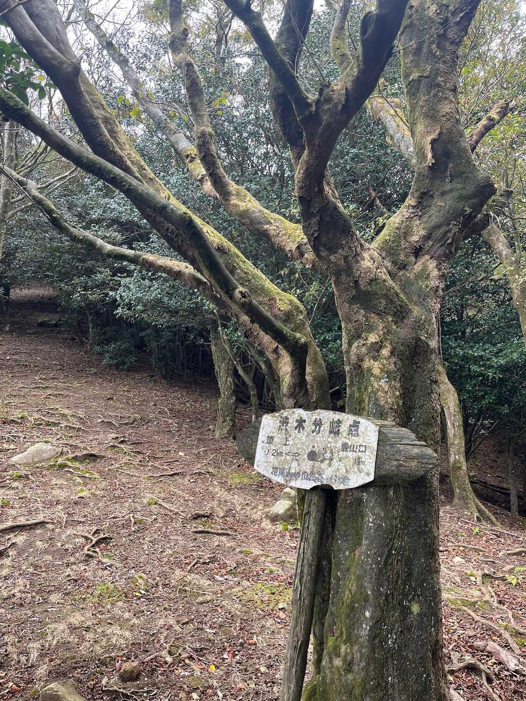 残り200m。
見上げるとさらに急勾配😵