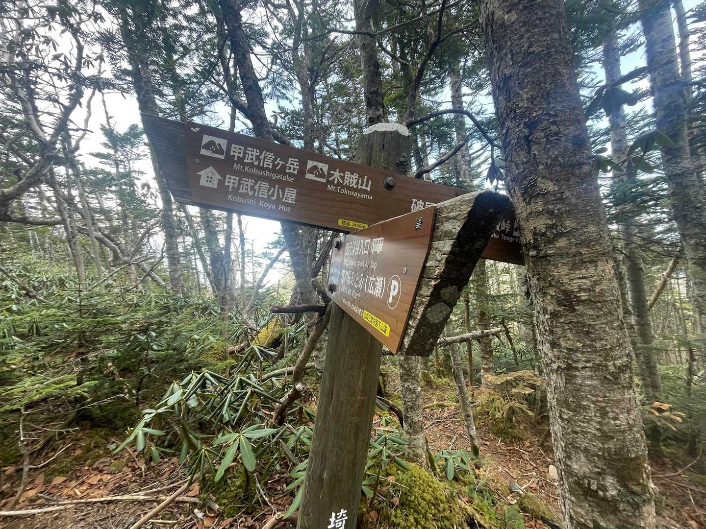 「木賊山」（とくさやま）と読むそうです！
どう考えても、（きぞくやま）かと🤭