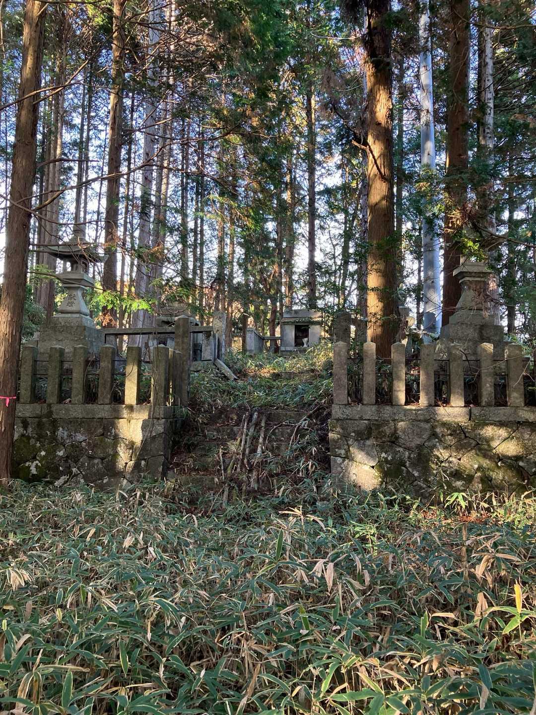 鳥居をくぐると、笹が生い茂った⛩️の境内❗️