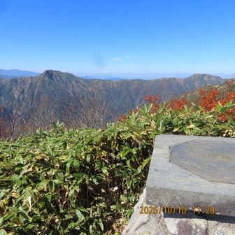 武能岳から蓬岳へ至る稜線　歩くと気持ちよさそう！！