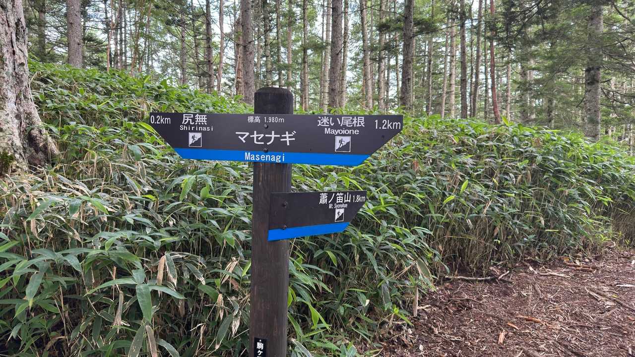 マセナギ