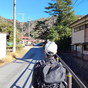 素敵な家々や道路。