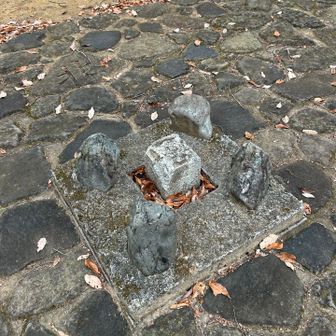 お伊勢山　立派な三角点
山頂標は見当たらない。