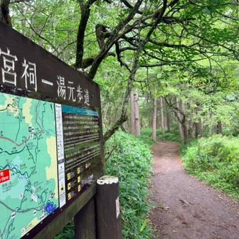 こちらからイン
スタートで〜す
