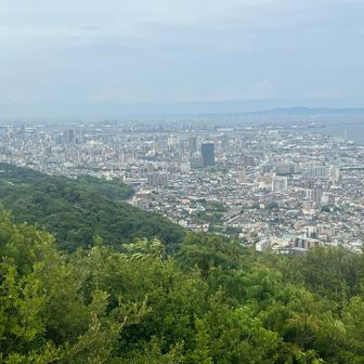 歩くたびに景色が変化するのもあと少し