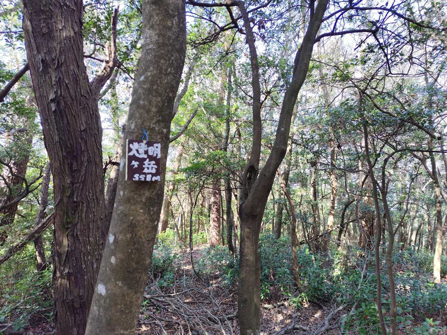 燈明ヶ岳