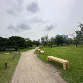 広い浜離宮⤴︎とりあえずグレーピークを巡ります⤴︎