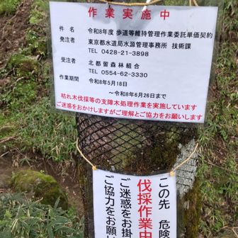 水場へのルート
1週間前、中間部で熊目撃報告あり　伐採作業中なら大丈夫かとこちらを下る