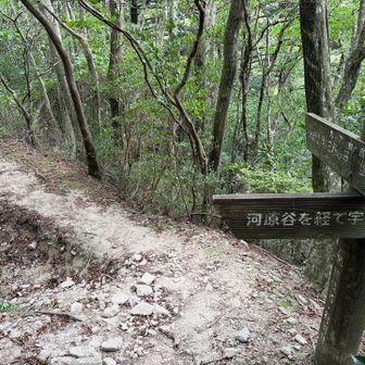 左に下りると河原谷（難所ヶ滝）
真冬にアイゼンなしで難所ヶ谷に行って滑落しそうになったのを思い出した