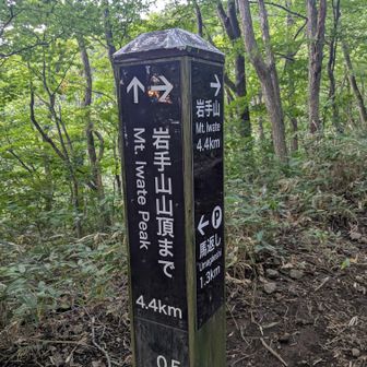 右も左も行けますが右は悪路だった💦