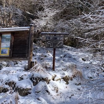 北沢から赤岳鉱泉小屋に進みます
