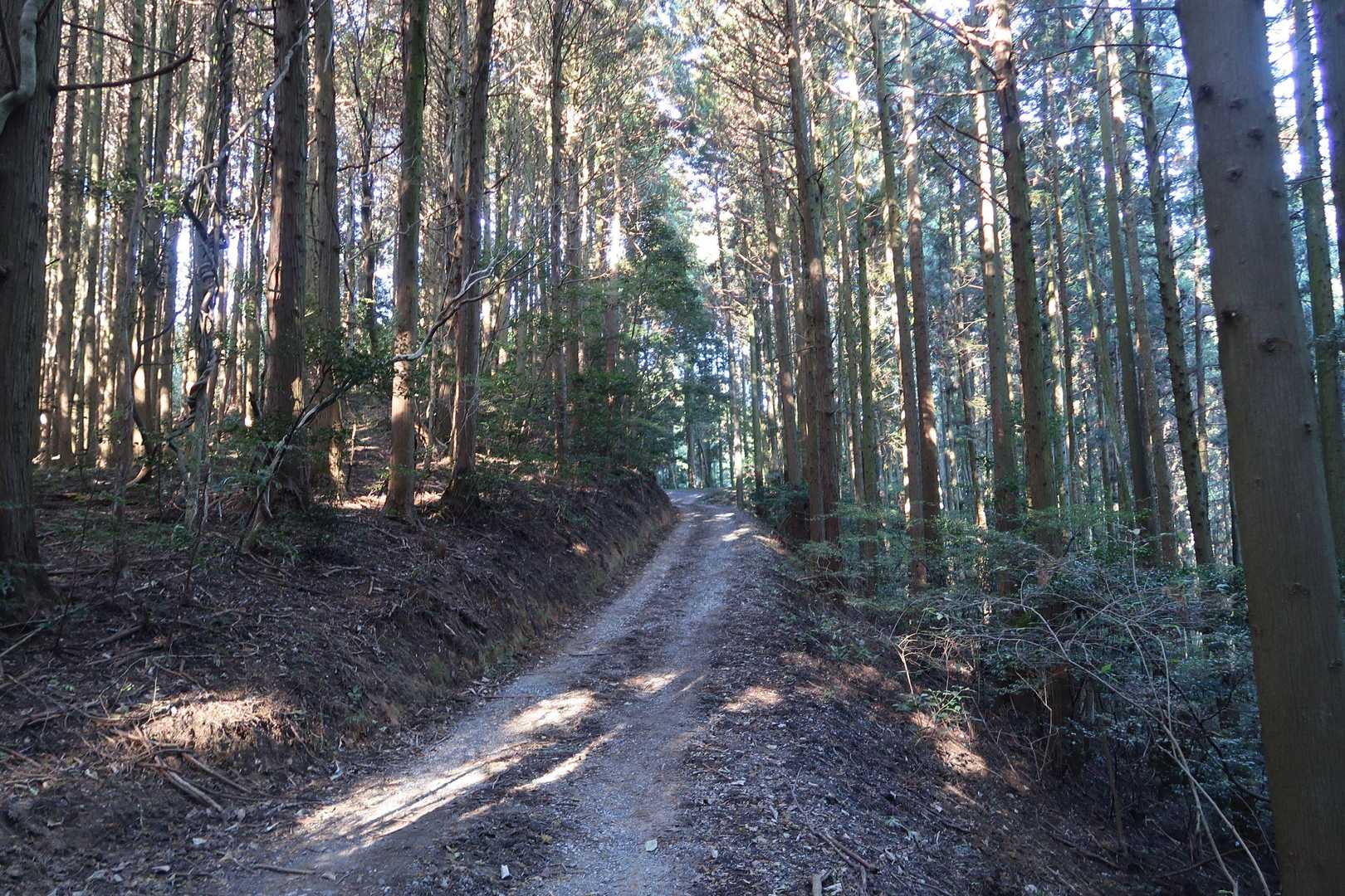備中松山城跡入口-大松山つり橋 往復コースの写真
