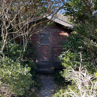 トイレ使用可能