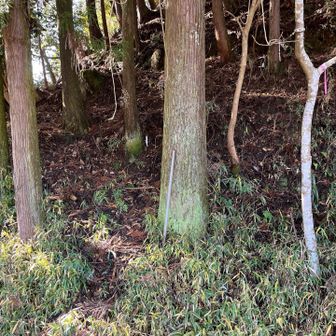 ここから登りました。