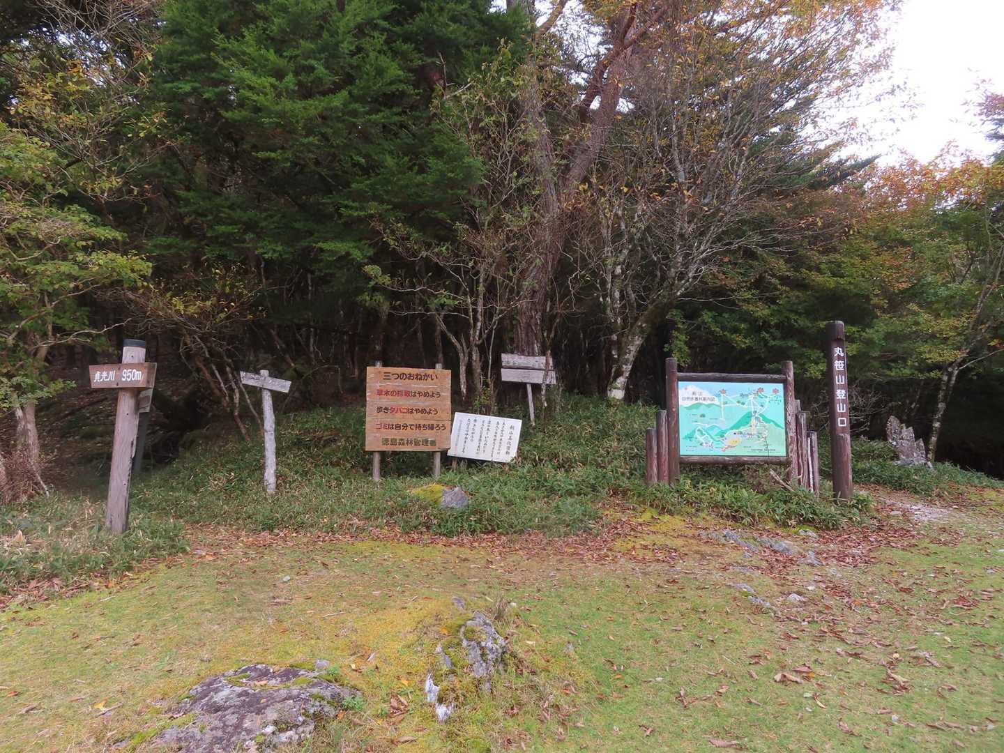 丸笹山は右側から。
には、行かず左へ。すぐに苔の森が🌳🍃