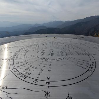 円盤しゃーねー