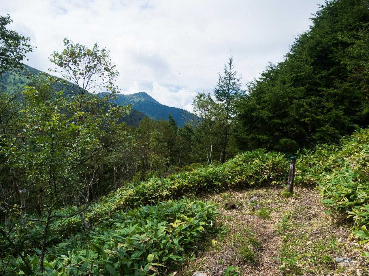 角間峠-角間山 周回コースの写真