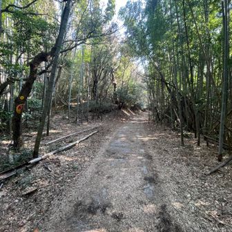 一旦車道に出てきました。

ここまでかなり下ってきました。

あれを戻ることは一旦忘れましょ😅