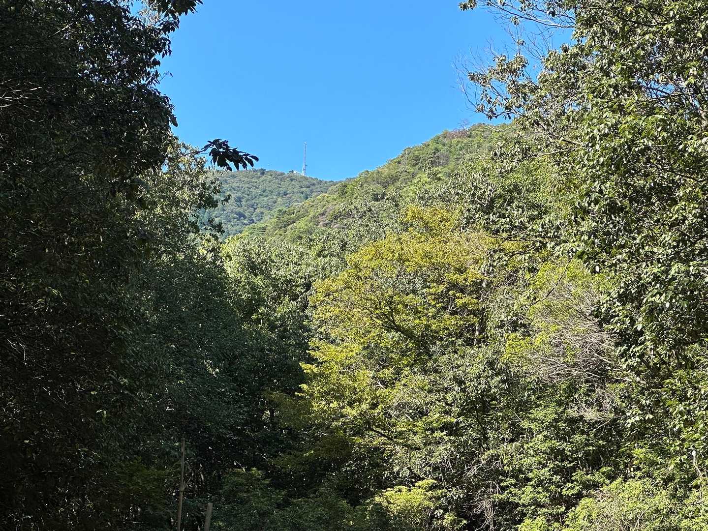 振り返ると、鉄塔がある白木山の山頂