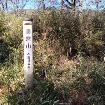 山頂はこんな感じ