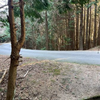 林道に下りてきて
しばらくはロードを歩く