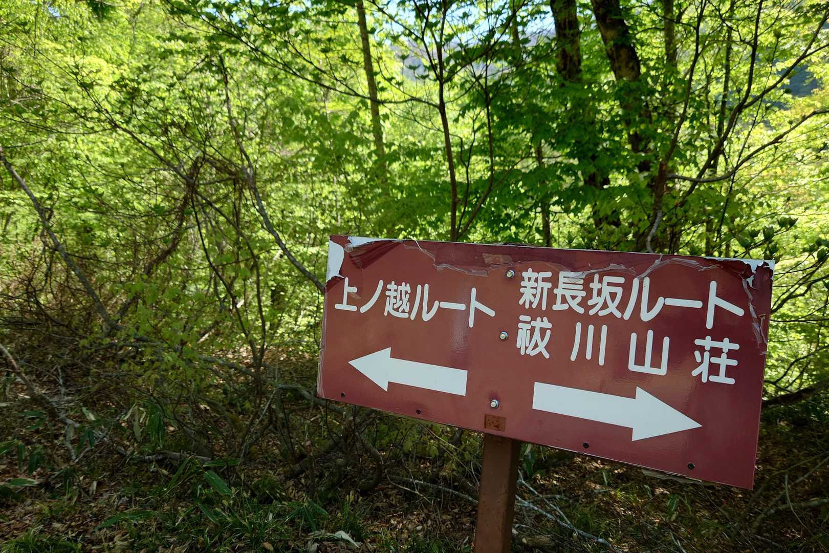 もちろん、左へ
