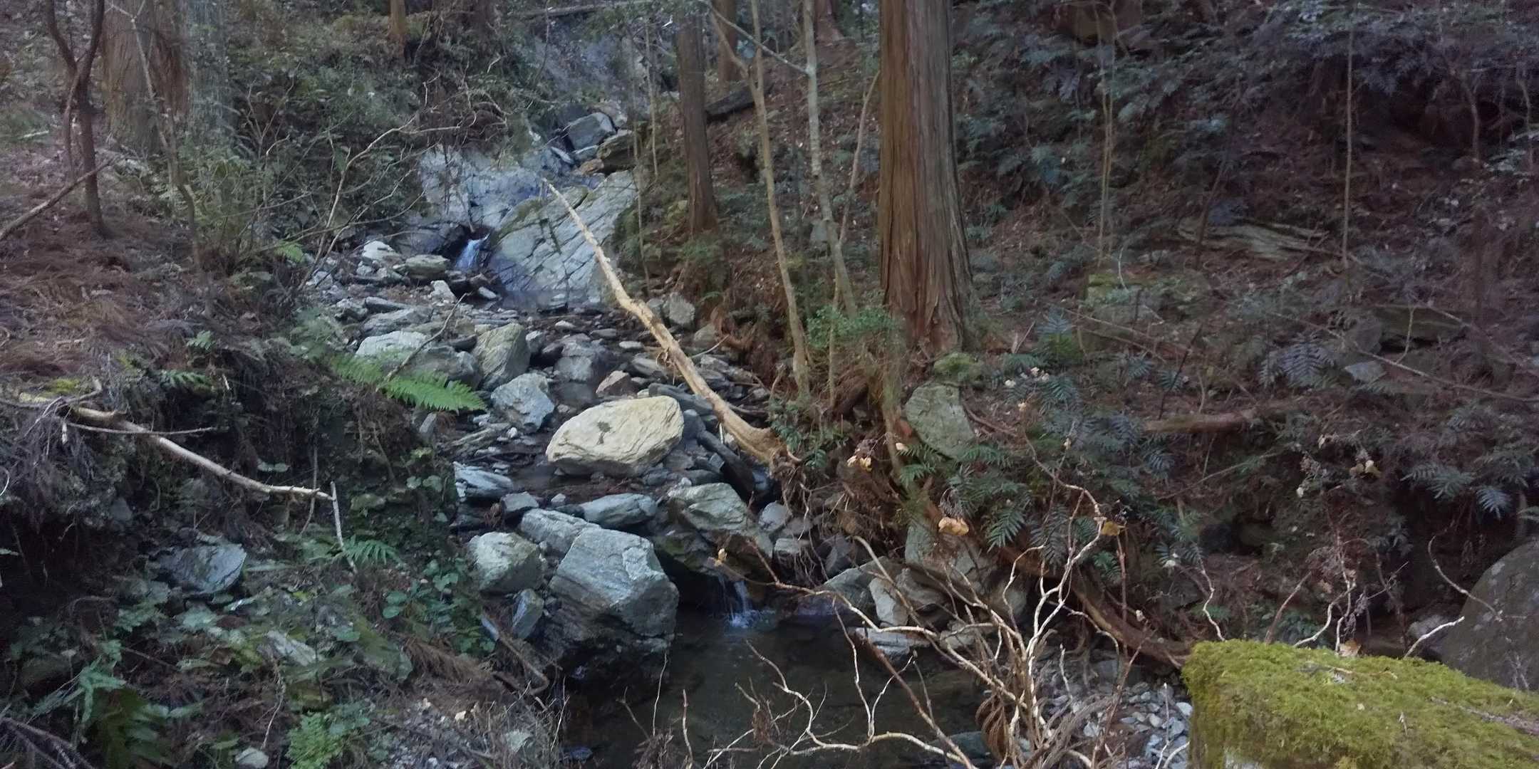 昨年の大水で沢が荒れている