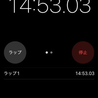 休憩は15分でした（笑）
膝痛いしここで円山チャレンジを断念してもよかったのですが、