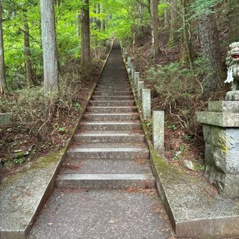 噂の400段階段